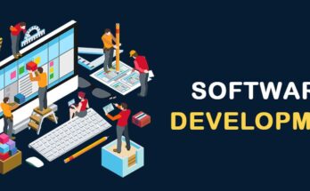 Comprehensive Overview of the Software Article