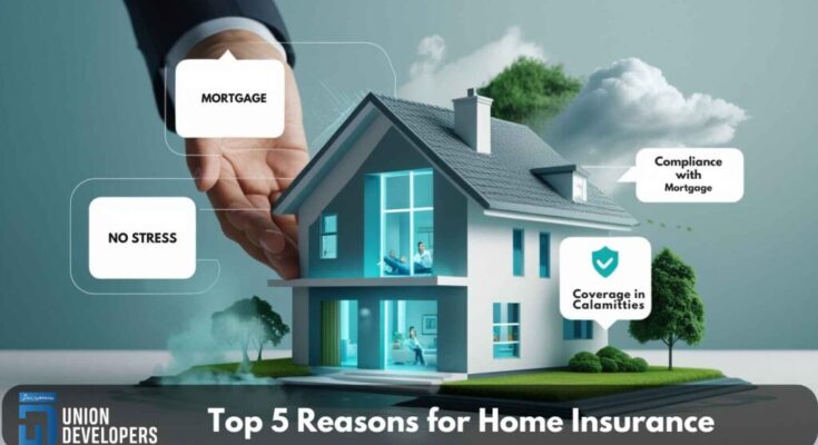 Understanding House Insurance: Key Insights from the Article