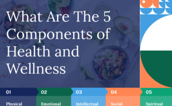 The Foundation of Wellness: A Comprehensive Guide to Better Health